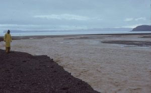 Bank-full conditions in an ephemeral, gravelly, Franklin Pierce Bay (Ellesmere Island) stream, during a rare mid summer Arctic rainstorm.  About 25mm fell in a matter of hours.  The stream rose very quickly and forced us to move our camp.  There were many rockfalls from nearby cliffs during the storm.