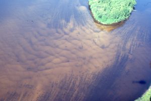 Active sand bars attached to a semi-permanent, vegetated bar, mid-stream, Clearwater River, Alberta. The submerged, active bar top contains smaller subaqueous dunes. Flow to lower left.