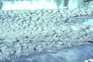 Braid bar-top ripples (flow to the right), imprinted by rain drops. Monster River, Yukon.