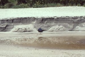 Typical beach stratification in an eroded berm; primarily laminated sets with low-angle truncations, parallel, or slightly inclined to the beach face.