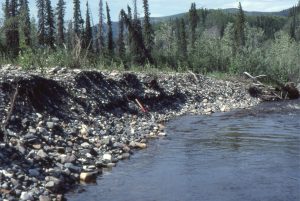 Vegetated braid bar gravels exposed in a cut bank. Bonnet-Plume River, Yukon.