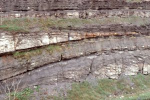 Channel margin and low-relief levee, overlying floodplain silts and muds. Carboniferous, Hazard, Kentucky.