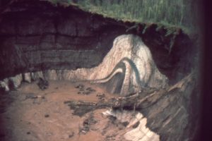 Deformed ground ice within the permafrost, probably caused by ice expansion.  The trees above are 3-4m high. The ice fold was exposed in the slip face of a thermokarst slump. North Yukon.