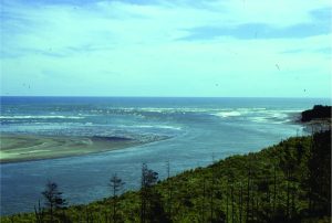 Ebb tidal delta at the mouth of Waikato River, south Auckland. The seaward margin of the delta is marked by the breaking waves.