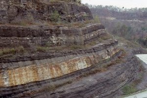 Carboniferous point bar - channel sandstones overlain by interdistributary bay mudstone-siltstone. The point bar overlies and is partly equivalent to thin floodplain coal.