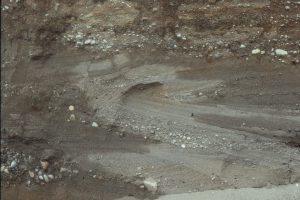 Detail of trough crossbeds and multiple bedform truncations in a glacial outwash channel, Stokes pit, Fraser Valley, British Columbia.