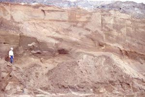 Large foresets (4-5m thick) in glacial outwash, may have formed as a small Gilbert-type delta in an outwash lake of meltwater pond.  The overlying topset sand is about 1.5m thick, that, in turn was overridden by a diamictite during ice advance. Bradner Road pit, Fraser Valley.