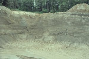 A complex array of trough and planar crossbeds in Late Pleistocene glacial outwash channels. Bradner Road pit, Fraser Valley.