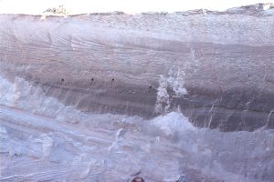 Crossbedded and rippled glacial outwash in a gravel pit at Kanata, Ottawa. Arrows point to small thrust faults (movement to the left) probably caused by ice loading prior to deposition of the thicker crossbedded unit above (the faults do not extend into the overlying unit).