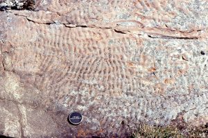 Interference ripples in Proterozoic tidal flat facies, Belcher Islands