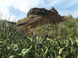 A more panoramic view of the old soil and dunes in the image above.