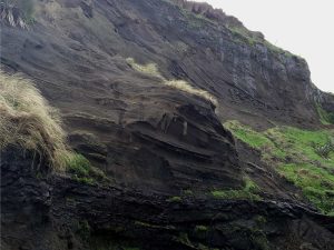 Typical dune cross bedding in the younger valley fill. The foresets consistently dip right, or landward.  The muddy, concave layer near the bottom of the image is thought to have formed in an interdune pond. Kariotahi, west Auckland.