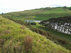 Interdune lake near the inland margin of a stabilized (vegetated), Pleistocene coastal sand dune complex, Kariotahi, south Auckland, NZ. The old dunes were part of a much more extensive barrier system along the west coast of North Island.