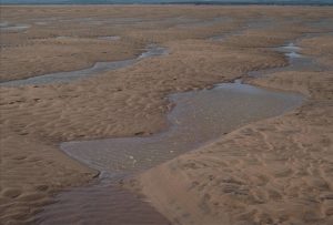 Multiple 3D subaqueous dune sets that migrated left, and superposed ripples, intertidal, Minas Basin, Fundy Bay.