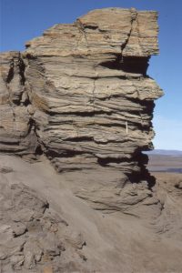 Small crossbeds and laminated sandstone show the complexity of bedforms that can develop on point bar foresets. There is abundant plant material throughout. Pen (mid image) is 15cm long. Middle Eocene Buchanan Lake Fm, Geodetic Hills, Axel Heiberg Island.