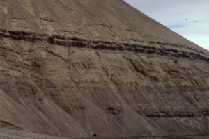 Sandy point bar deposits (sanddstone below the coal beds) in high sinuosity channel (meandering), overlain by thin floodplain lignites in the Middle Eocene Buchanan Lake Fm, Geodetic Hills, Axel Heiberg Island. Point bar foresets dip left.  The lignites contain abundant, well preserved conifers (Spruce), Hickory, and Metasequoia fronds, cones and seeds. The point bar is about 4m thick. It overlies floodplain mudstone with thin coal layers that represent short-lived paleosols.