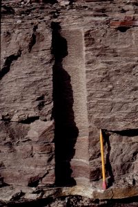 Detail of crevasse splay deposits, shows laminations of fine-grained sandstone-siltstone,  and abundant bioturbation that commonly obliterates primary layering.  Betsy Layne, Kentucky.