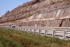 Broader view of crevasse splay. Below the splay are are bay-fill muds. Above are more bay fill muds and thin coal seams.  Betsy Layne, Kentucky.