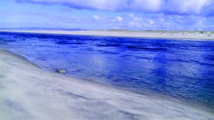 Tidal inlet standing waves (antidunes) in an outgoing tide, Mangawhai Heads, north Auckland. The antidunes migrate upcurrent (against the current) and gradually build until they break, subsequently reforming.