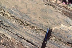 A succession of storm deposits associated with an upper tidal flat, each layer consisting of ripped up muds. Clasts in the  thick, upper bed have retained their original laminations and locally small ripple crossbeds. Other structures include current ripples, desiccation cracks, and flaser bedding. Rowatt Fm, Belcher Islands. Proterozoic.