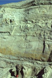 Paleocene subaqueous dunes up to 2m amplitude, in tidal inlet-delta, overlain by thin tidal flat-salt marsh deposits. Scattered pebble lags at the base of the channel subaqueous dune crossbeds Expedition Fm, Axel Heiberg Island, Canadian Arctic