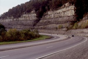 This is the only example I have seen of a channel and twin levees. The levees are overlain by interdistributary bay muds, and at the top of the outcrop, distributary channels. Ivel, Kentucky