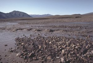 Glacial outwash flow between gravel bars during spring thaw, Strand Glacier (Axel Heiberg Island). The water is mud-laden. Flow here has nicely formed antidunes (standing waves) indicating supercritical flow conditions.