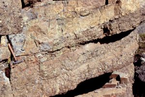 Interbedded planar tabular crossbeded conglomerate and thin ripple crossbedded sandstone. Cadomin Fm. Mt Allan, Kananaskis. Most of the gravel clasts derived from uplifted thrust sheets.