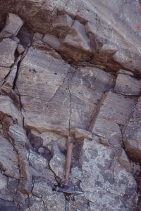 Trough crossbedded, pebbly sandstone in the syntectonic (syn-thrusting), Cadomin Fm. Mt Allan, Alberta.