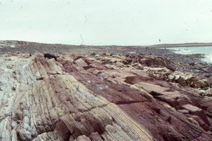 Regular bedded (that can be traced laterally for 100s to 1000s of metres) calci-dololutite and red marls in slope deposits, outboard of the Mavor Formation platform-wide buildups-reefs. There are a few slumps and the occasional small channel filled with eroded lutite and shale. There are a few thin, graded beds, likely deposited as calci-turbidites.