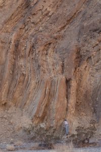 Hole in the Wall, Death Valley. Discordant packages of lacustrine shoreface and prodelta mudstone-sandstone, and pebble conglomerate. The debris flow in the images above can be traced from the lower right to the central part of the cliff.