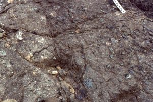 Cohesive-muddy debris flow conglomerate composing some fan delta foresets at the Mt Cartmel delta. Commonly interbedded with less-cohesive, clast-supported debris flows. Bowser Basin.