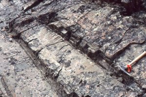 Interfan turbidites, mostly Tb-d components of Bouma cycles. Top to the right. Icebox Canyon, Bowser Basin.