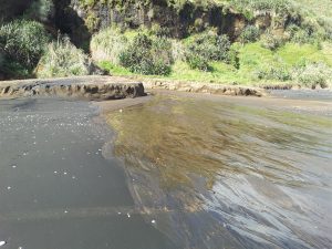 This small, very recent, dissected fan delta accumulated on the beach face at Kariotahi, south Auckland (Tasman Sea coast). Storm drainage through the weakly indurated Pleistocene dune-beach sands behind, deposited sand during high tide. The small delta built across the beach, and as the tide ebbed, the stream eroded into its delta. The overall concave (down) top surface is evident. Broader view shown below.