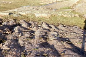 View down dip across smaller mounds that are superposed on the larger structures. Mavor Fm.