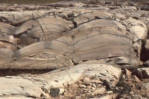 Cross-section through the smaller mounds (hammer right centre) showing the distinctive geometry and regularity of the laminae. There are numerous stylolites (thin dark bands) that tend to mimic the mound outline.  Synoptic relief is 20-40 cm. Mavor Fm.