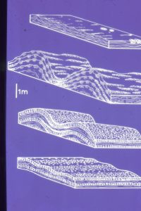 Reconstruction of the progressive changes in mound amplitude and spacing, from shallow subtidal platform at the base (corresponds with the left side of the aerial image above), through coalescing mounds at the platform margin, to the slope deposits beyond (Costello Fm). For completeness, an example of the slope rocks is shown below.