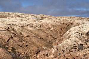 View approximately along strike. Second-order mounds superimposed on the large buildups mound, or reef mounds, are nicely exposed here (by the hammer).