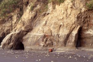 Seriously deformed slump unit in Late Miocene, basin floor submarine fan, Mt. Messenger Formation, North Taranaki, New Zealand. The unit contains numerous, small, detached folds each with a different orientation. Strata below the detachment (glide plane) are not deformed.