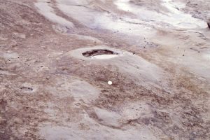 Detail of liquefaction and dewatering structures in the Jam Roll slump- here a modest size mud volcano.