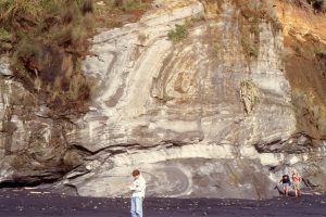 Large recumbent slump fold in a Late Miocene, basin floor submarine fan, Mt. Messenger Formation, North Taranaki, New Zealand. The lower limb lies along the glide plane at the top of white bed (a sandy turbidite) has also been deformed.