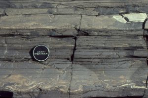 Laminated Bouma Td intervals and convoluted laminae (Tc). Omarolluk Fm. Proterozoic, Belcher Islands