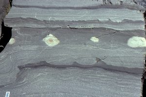 Thin Bouma Tc-d mid-fan cycles, with ripple drift, flame structures and load coasts, and a small scour. Omarolluk Fm. Proterozoic, Belcher Islands.