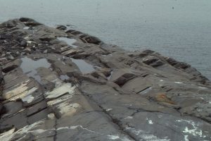 Bedding style in the Omarolluk Fm. turbidite succession, Proterozoic, Belcher Islands (about 1800-1900 Ma). - more proximal, thick sandstone facies (mostly Ta,b deposits), separated by thin hemipelagic shale.