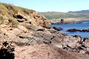 A broader view of stratified, possibly surging debris flows in proximal fan channels. Upper Cretaceous Pigeon Point, California.