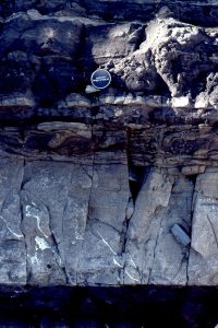 Submarine channel sandstone overlain by thin sandy turbdites and overbank mudstone. Point San Pedro, California.