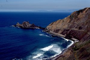 Paleocene turbidites, Point San Pedro, California.