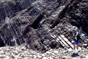 Cyclic, thinning upward interchannel, distal lobe facies, Paleocene Point San Pedro, California.