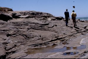 Folding and intrusion of liquefied sand in the Rosario Group, San Diego