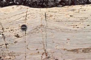 Teepee structures in carbonate mudstone and laminated cryptalgal mats; disruption of the mudstone slabs was probably caused by salt-gypsum expansion. McLeary Fm.